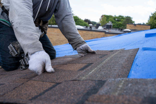 Best Commercial Roofing Services  in Lake Barrington, IL